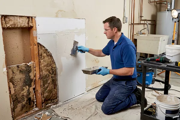 Mold and Drywall Repair Lake Forest