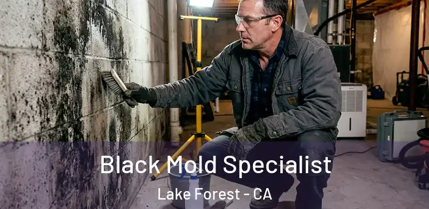  Black Mold Specialist Lake Forest - CA
