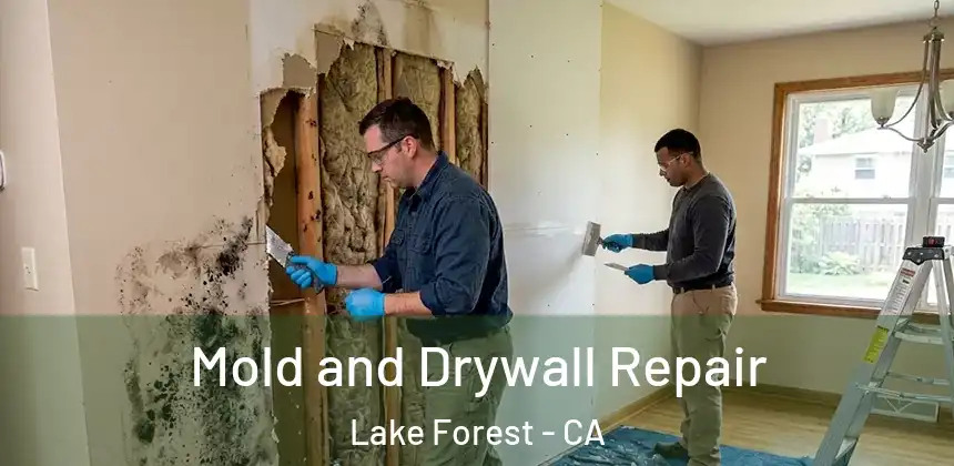  Mold and Drywall Repair Lake Forest - CA