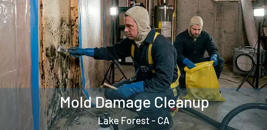 Mold Damage Cleanup Lake Forest - CA