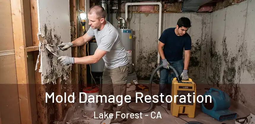 Mold Damage Restoration Lake Forest - CA