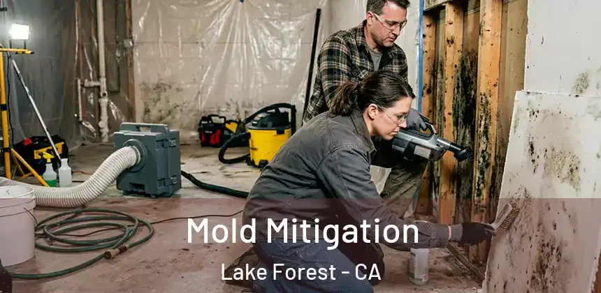  Mold Mitigation Lake Forest - CA