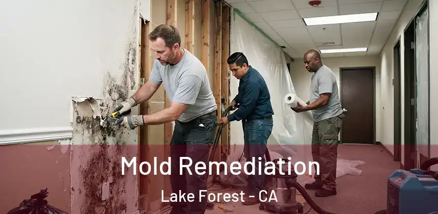  Mold Remediation Lake Forest - CA