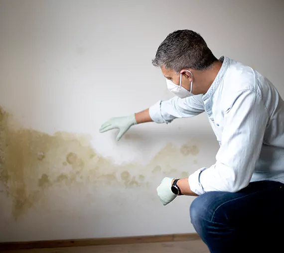 Mold Removal Service in Lake Forest, CA