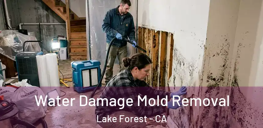 Water Damage Mold Removal Lake Forest - CA